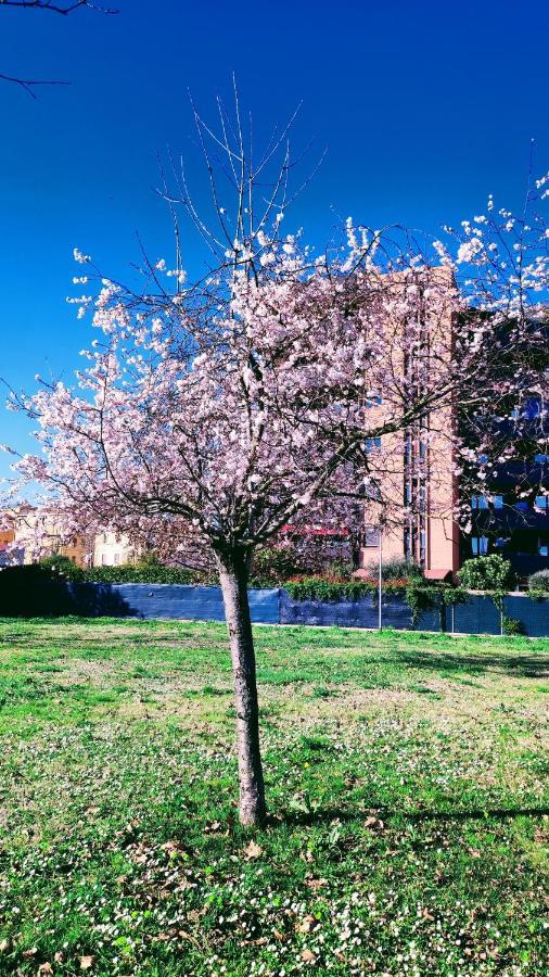 Bologna Vista Parco Apartment 2 Letti Matrimoniali Екстер'єр фото